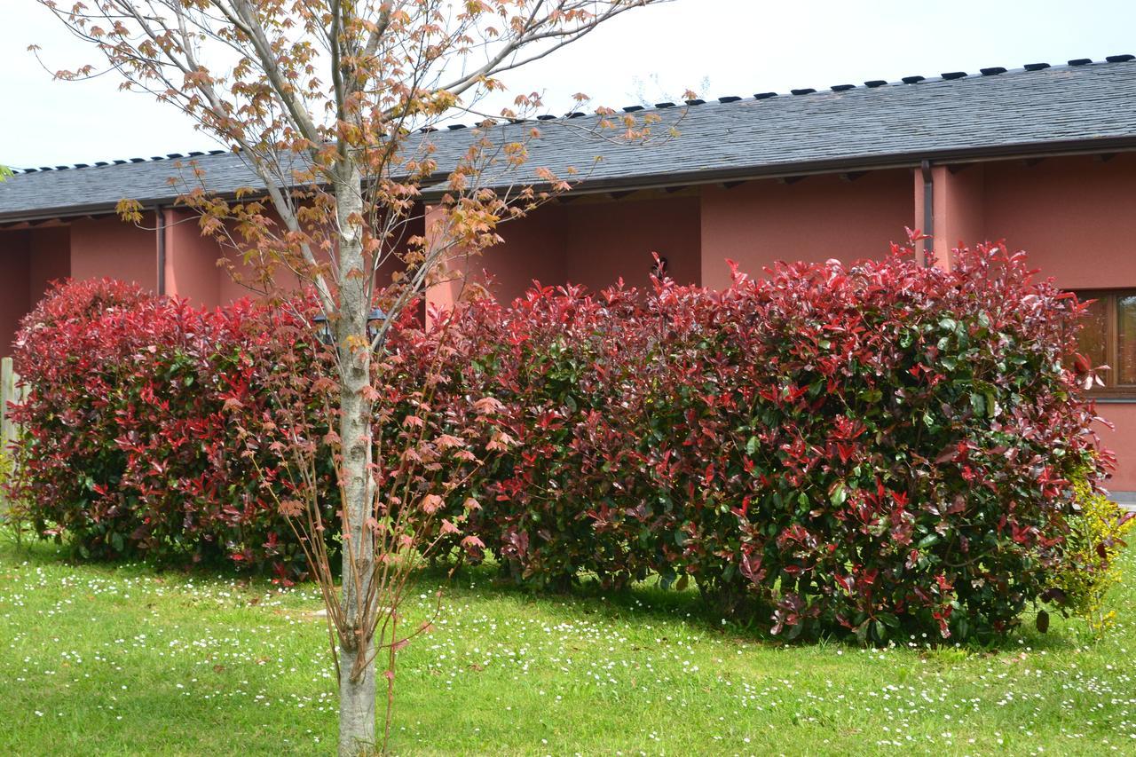 Apartamentos El Guindal Tapia De Casariego Exterior foto
